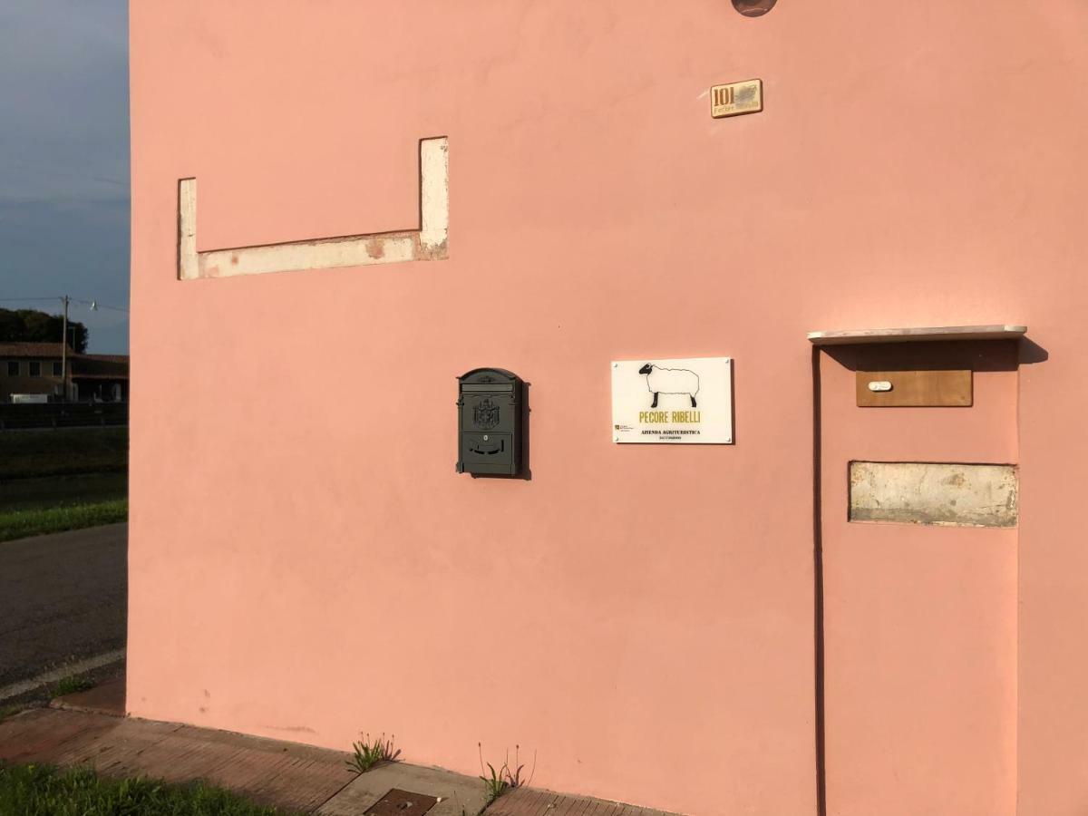 מירה Pecore Ribelli מראה חיצוני תמונה