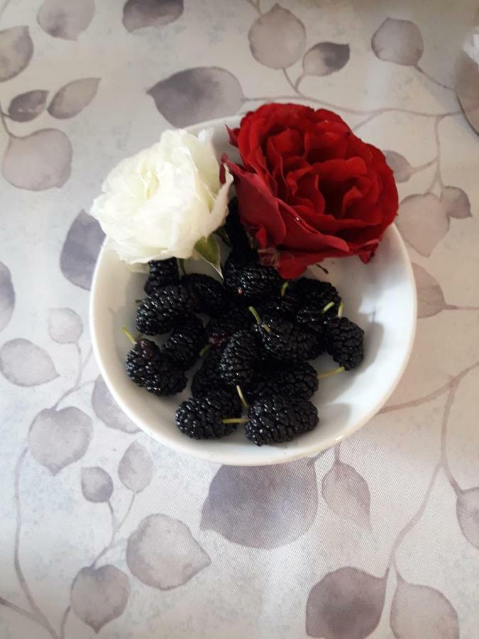 מירה Pecore Ribelli מראה חיצוני תמונה